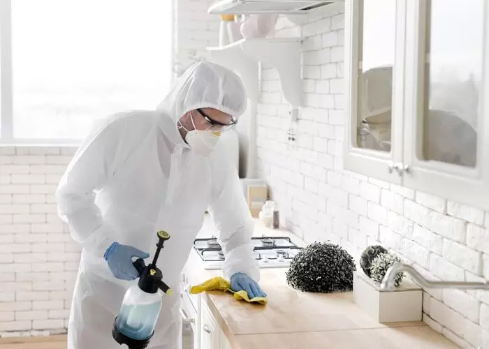 Zapobieganie pluskwom – jak chronić dom przed ponowną inwazją?