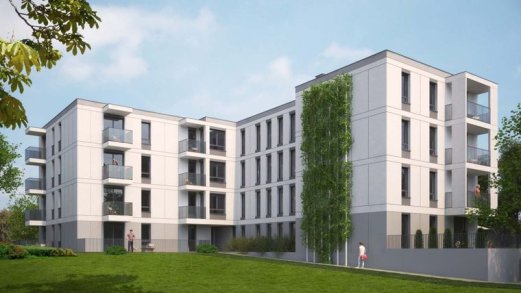 Staw Płaszowski II - Kraków (Podgórze)