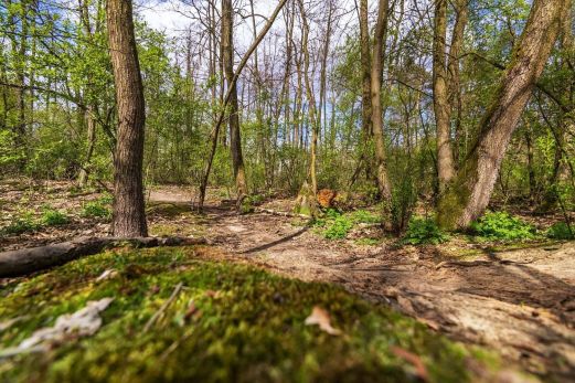 Okolica inwestycji Nadwiślańska Kaskada 7