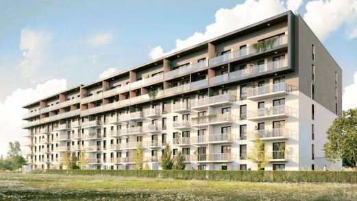 Symfonia Ptasia 28 - Poznań (Grunwald)