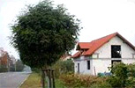 Zdjęcie inwestycji Yana 6718